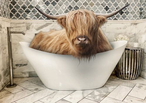 Schottischer Highlander in der Badewanne