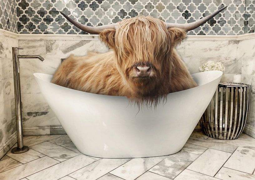 Scottish Highlander in bathtub by Bert Hooijer