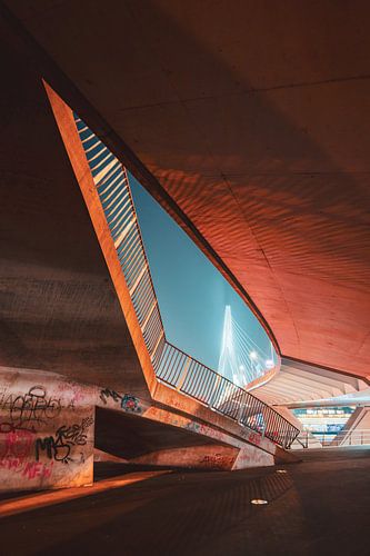 Von unter der Erasmusbrücke