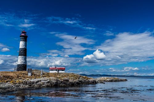 Droomlandschap Vancouver Island, Canada 