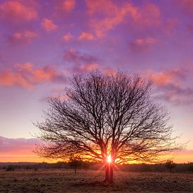 Sunset on Schenkenshul in Hoenderloo near Miggelenberg by Rob Kints