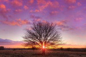 Coucher de soleil sur le Schenkenshul à Hoenderloo près de Miggelenberg