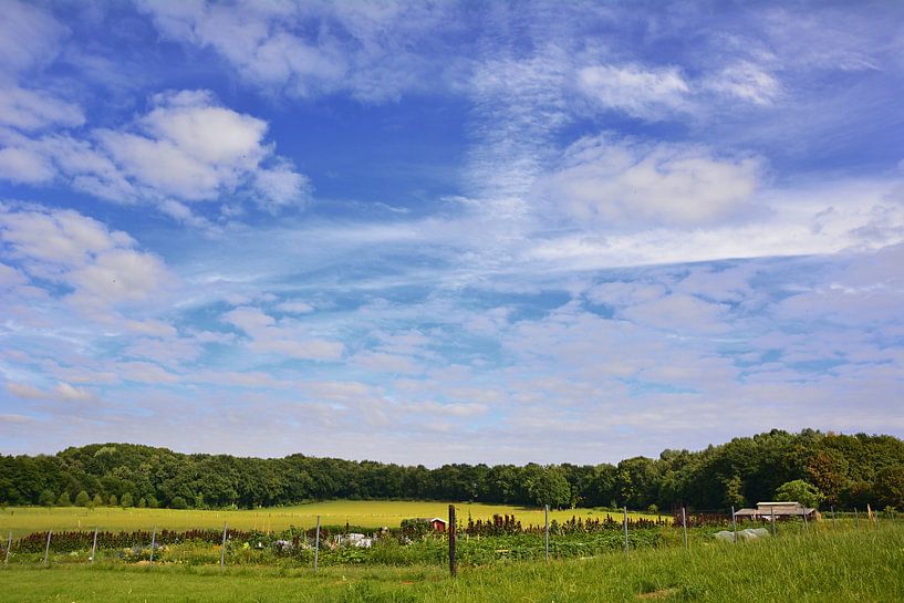 Gartenland par Edgar Schermaul