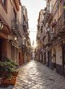 De oude stad van Palermo van swc07 thumbnail