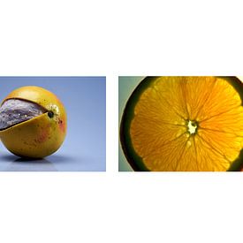 Fruit. by Arne Claessens