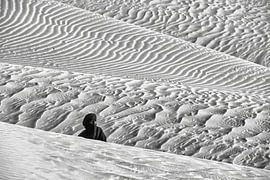 Sahara-Wüste. Mann vom Stamm der Tuareg zwischen Sanddünen. von Frans Lemmens