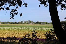 Floral landscape by Cheyenne Photography