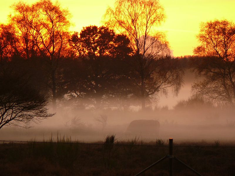 zonsondergang van erik boer