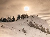 Winter sun