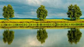 Symphony of Three by Camera Glimpse