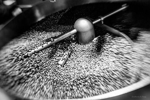 Sprout Coffee Roasters, Eindhoven In Focus