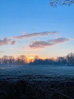 Een winterse ochtend 