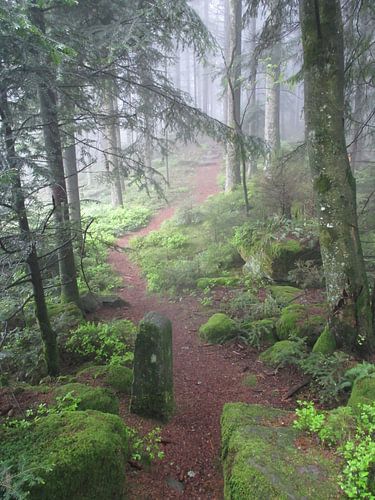 Pfade der Stille I – Der Steinwächter
