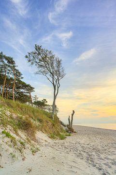 Evenings on the west coast of the Darss by Michael Valjak