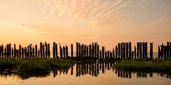 Friesische Wattenmeerküste