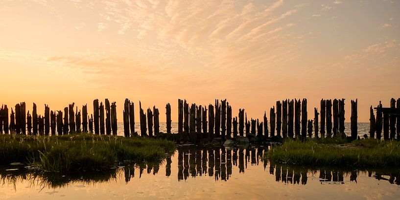 Frisian Wadden Sea coast by Jan ter Burg