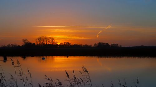 Zonsondergang met zwaan Onlanden Drenthe Nederland