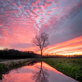 Spectaculaire zonsondergang van Yme Raafs