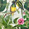 Vogels in de Tuin van het Paradijs van Andrea Haase
