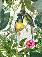 Exotic Birds In Tropical Paradise