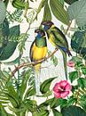 Exotic Birds In Tropical Paradise by Andrea Haase thumbnail