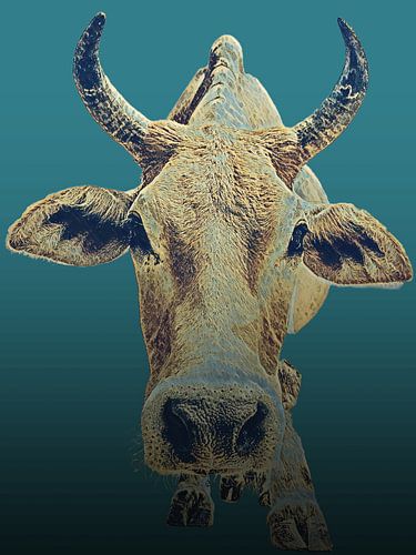 Die Kuh: zeitlos und kraftvoll