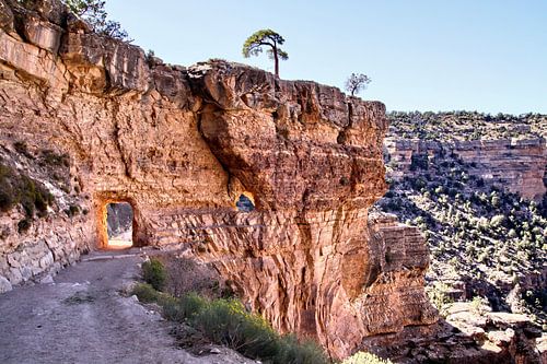 Grand Canyon
