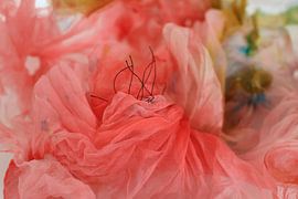 Le fil d'une idée sur Lisa Kellner