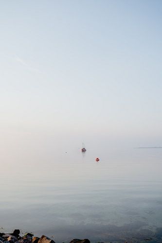 Goedemorgen