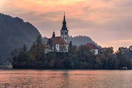 Bled im warmem Morgenlicht von Daan Duvillier | Stimmungsvolle Stadt- und Landschaftsfotos