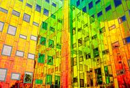 Rainbow reflections by Cynthia Hasenbos thumbnail