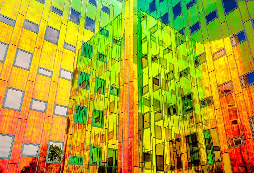 Rainbow reflections by Cynthia Hasenbos