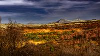 A view of the amazing and idyllic Norwegian landscape. Autumn picture of mountains and rivers.
