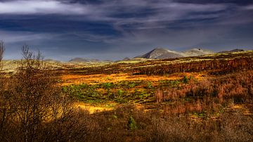 Uitzicht op het verbazingwekkende en idyllische Noorse landschap. Herfstfoto van bergen en rivieren. van Peter Jacek