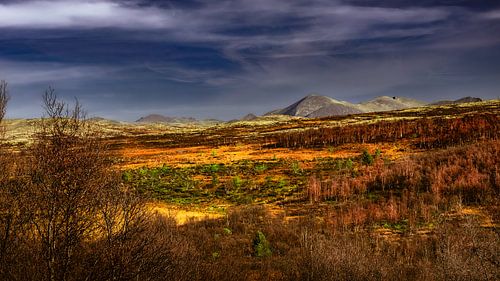 A view of the amazing and idyllic Norwegian landscape. Autumn picture of mountains and rivers.