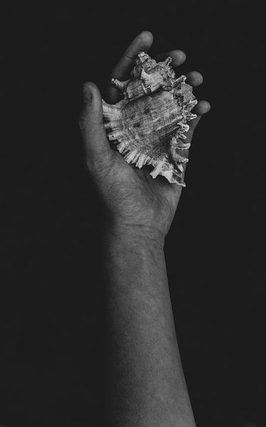 Just listen by Crystal Clear