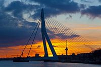 Erasmus bridge with clouds during sunset in Rotterdam