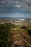 On the tidal flats