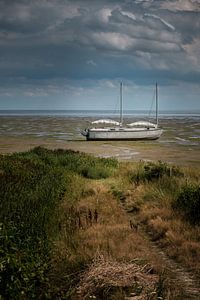 Auf dem Wattenmeer von Renate Oskam