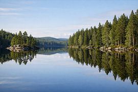 Spiegelruhe am Waldsee – Mirror Calm on the Forest Lake von ButterflyPix