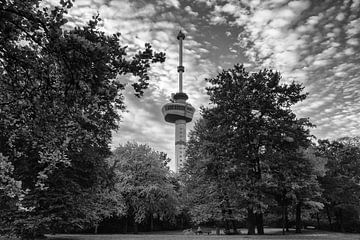 Euromast park with the Euromast