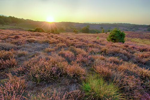 Sonnenaufgang auf der Posbank