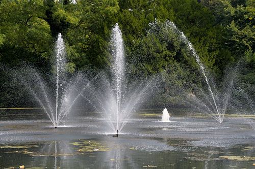 Posters voor de wereld: Valkenberg Breda