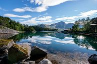 Weerspiegeling in een meer in Noorwegen van Ellis Peeters thumbnail