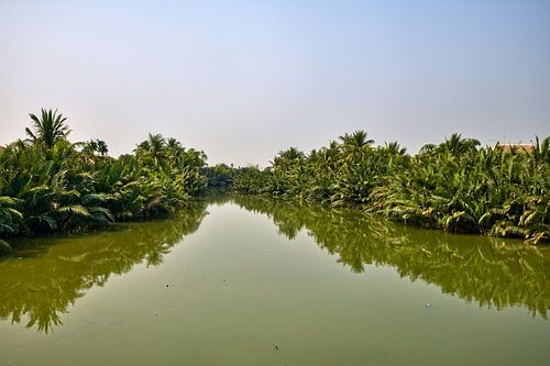 Ein ruhiger Kanal inmitten dichter Vegetation von Frank Photos