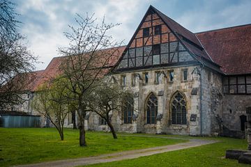 Walkenried Abbey by Adri Vollenhouw