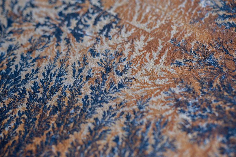Cristaux de dendrite par Stefanie de Boer