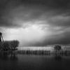 Zauberhaftes Kinderdijk . Magisches malerisches Kinderdijk in B&W von Saskia Dingemans Awarded Photographer