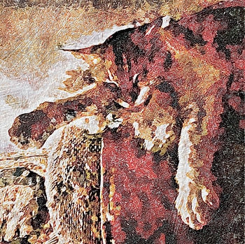 Portret van Malteser