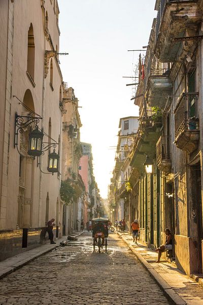 Havana by Hello Pompoyo